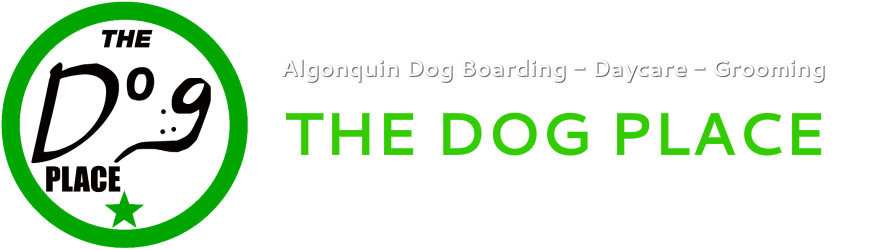 Algonquin Dog Boarding - Daycare-Grooming